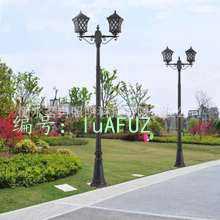 Ա
